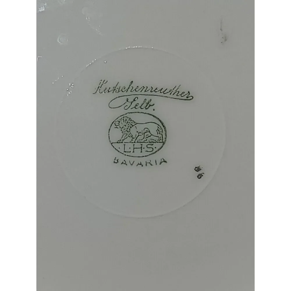 Hutschenreuther Selb HUT6 Floral & Swag 9